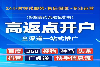SEM推广实战：案例分析及效果评估